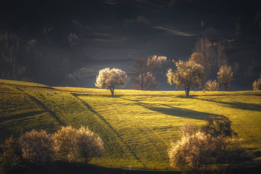 Spring in Rhodope mountain