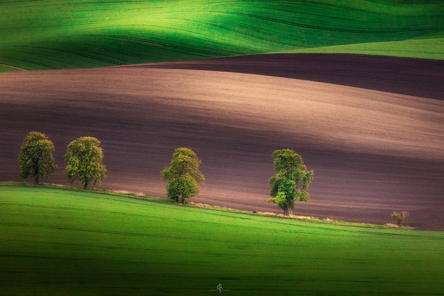 Moravia 