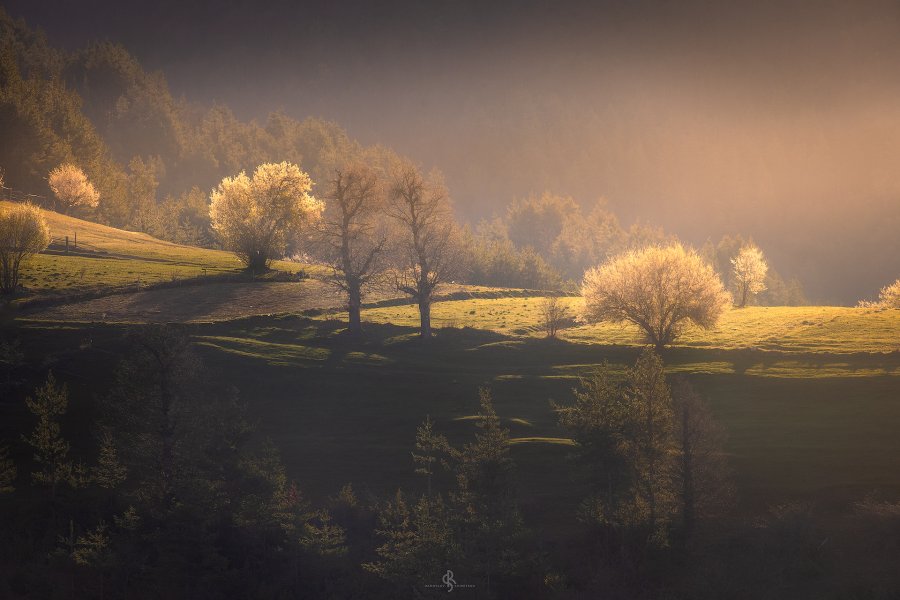 Spring in Rhodope mountain