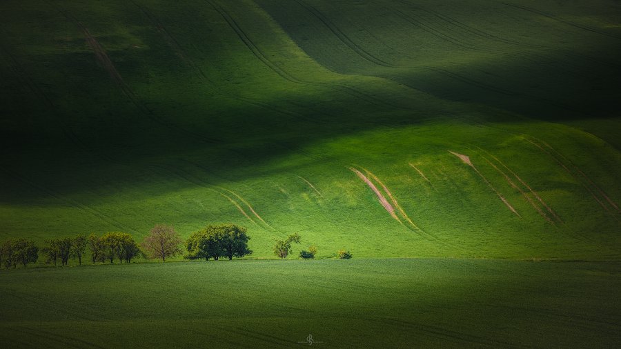 Moravia 