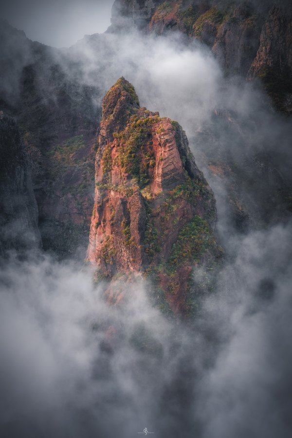 Pico do Ariero | Madeira Island