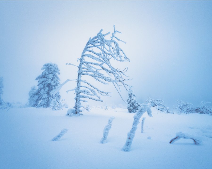 White desert